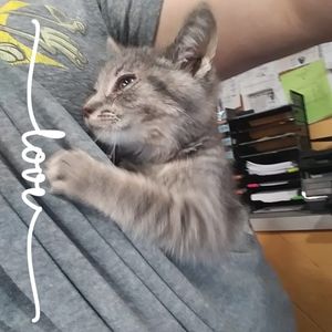 Meet your Posher, April